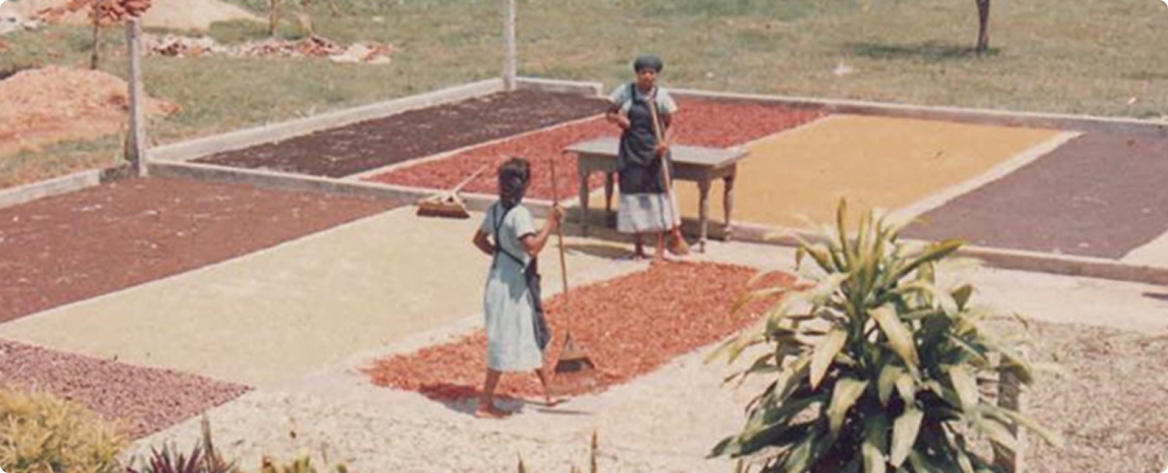 Expanding our Reach & Impact - MA's Kitchen